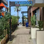 Flamingo 1