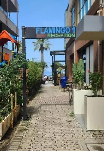 Flamingo 1